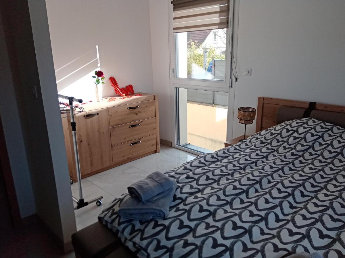 Jolie maison Sauna, Balneo lumino thérapie et Terrasse Colmar Extérieur photo